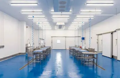 Factory - Studio - 3 Bathrooms for rent in Belbeis   10th of Ramadan Road - Zezenia 10th of Ramadan - 10th of Ramadan City - Sharqia