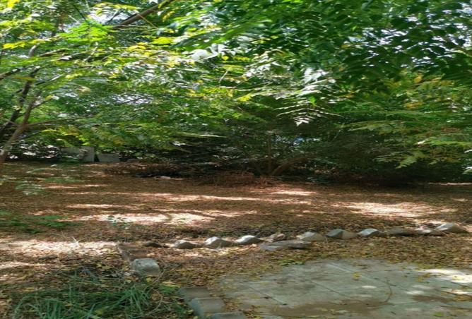 8262935 - صورة العقار 3