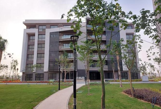 8372866 - صورة العقار 2