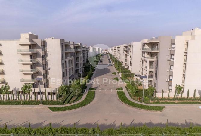 8051379 - Property Image 2