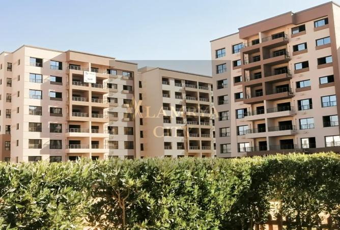 7981953 - الصورة الرئيسية للعقار