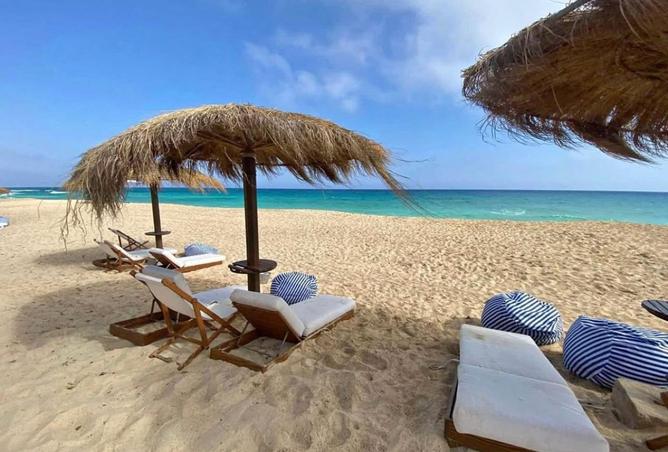 8279591 - صورة العقار 3