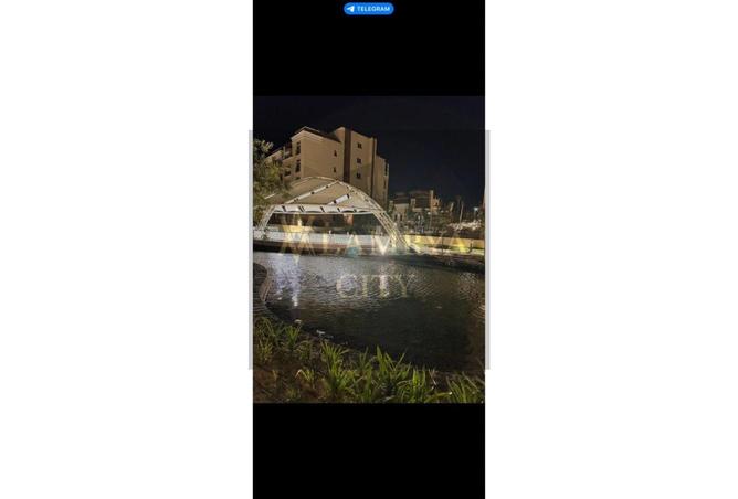 8166024 - صورة العقار 2