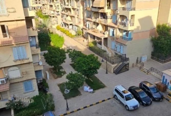 8381124 - Property Image 3