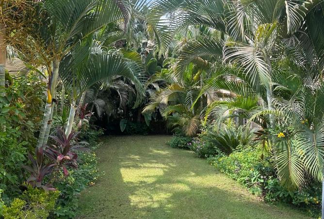 8267901 - صورة العقار 3