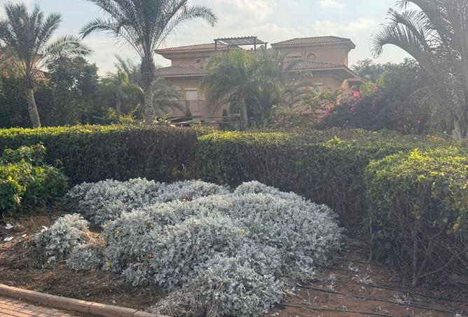 8235066 - صورة العقار 2