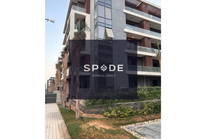 8232942 - Property Image 3