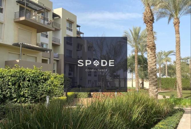 8294399 - صورة العقار 2