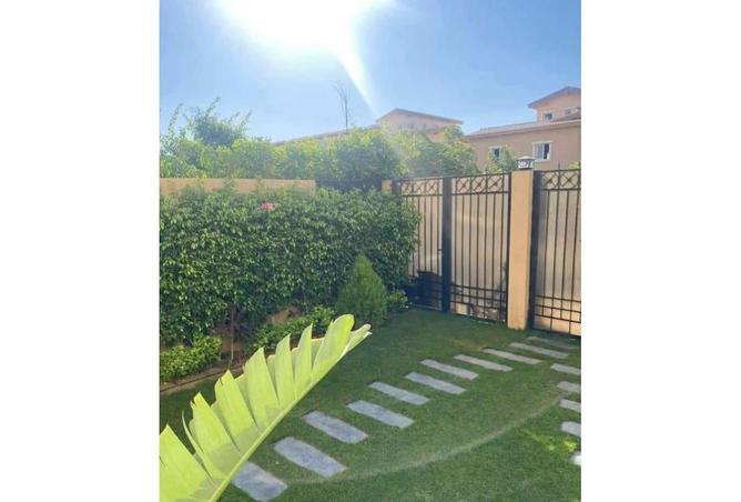 8124904 - Property Image 3