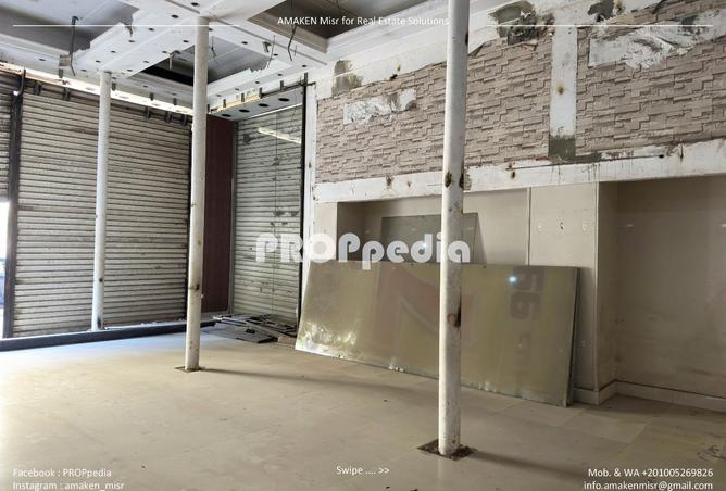 8073295 - Property Image 3