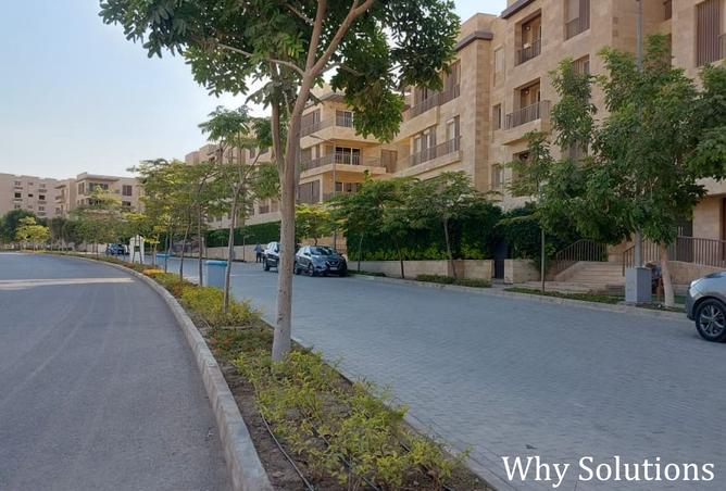 8093213 - Property Image 3