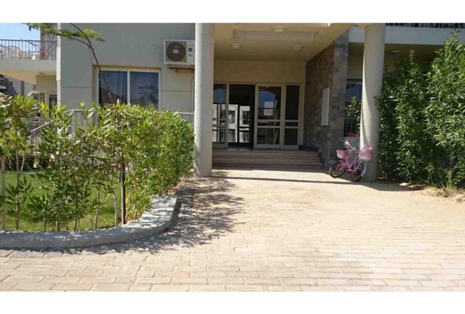 8119626 - Property Image 3