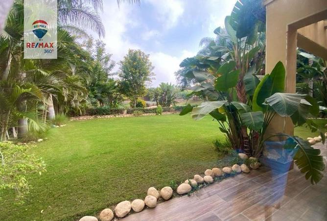 7684873 - Property Image 3