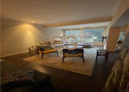 Apartment Located in Zamalek Modern Furnished