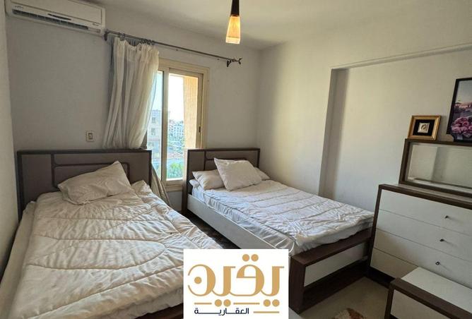 8126174 - Property Image 3