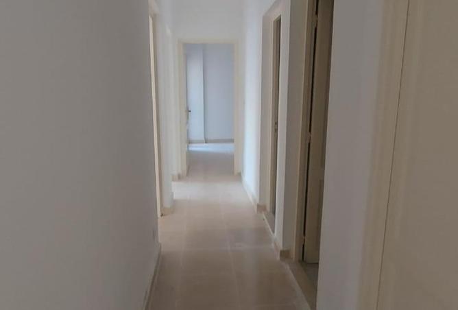 8558893 - صورة العقار 3