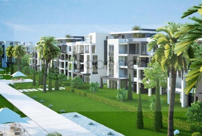 8204309 - صورة العقار 3