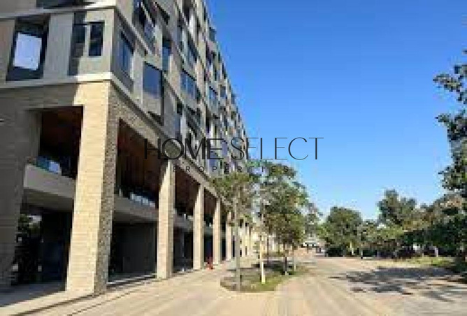 8137387 - Property Image 2