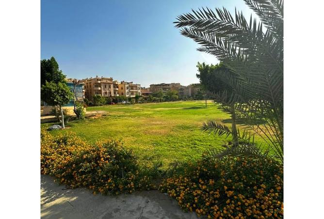 7948381 - الصورة الرئيسية للعقار