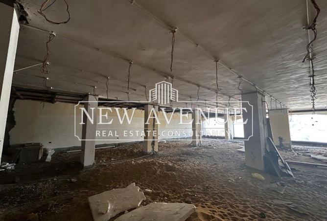 8124184 - Property Image 3
