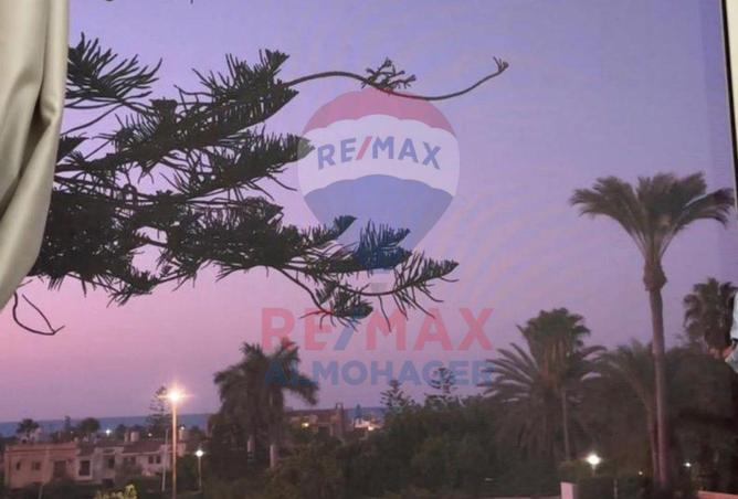 8101889 - صورة العقار 3