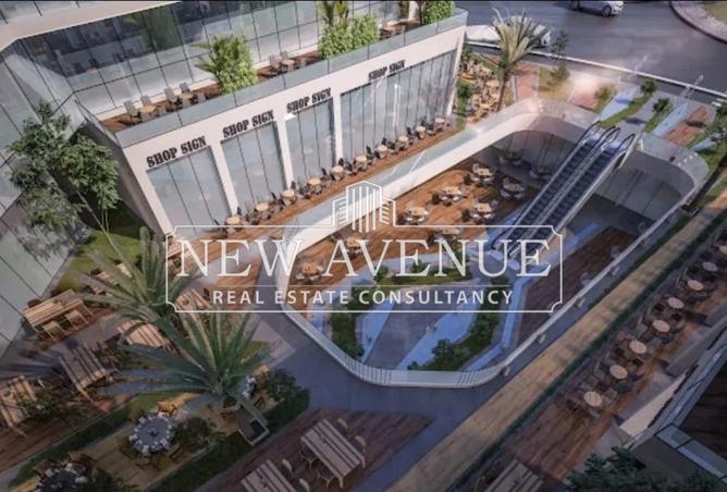 8162528 - Property Image 3