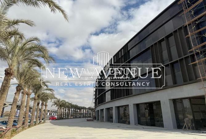 8208812 - Property Image 3