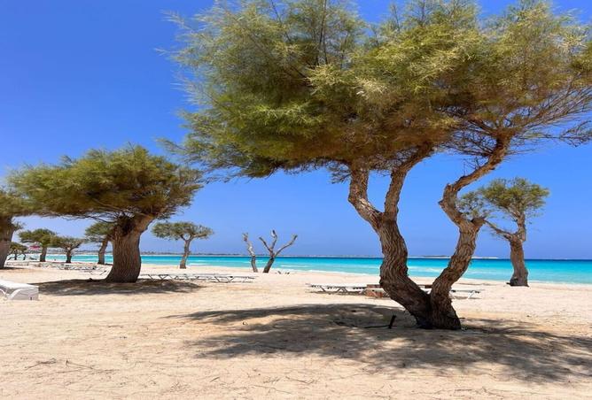 8006094 - صورة العقار 3