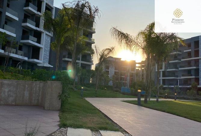 8458243 - Property Image 3