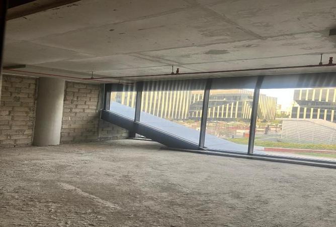 7956151 - الصورة الرئيسية للعقار