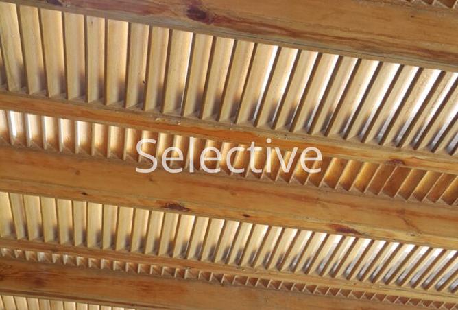 8353887 - Property Image 3