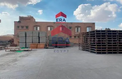مصنع - استوديو - 6 حمامات للبيع في طريق العاشر من رمضان بدر - زيزينيا العاشر من رمضان - مدينة العاشر من رمضان - الشرقية