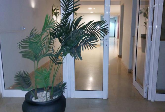 8147354 - الصورة الرئيسية للعقار