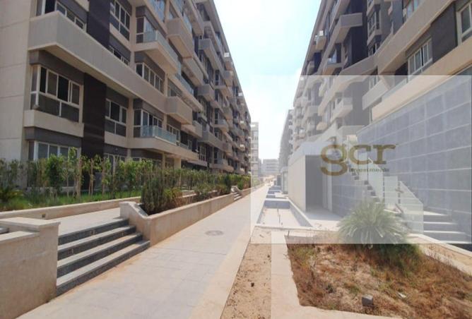 8197822 - Property Image 2