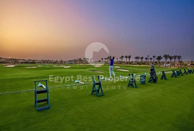 8118584 - صورة العقار 3