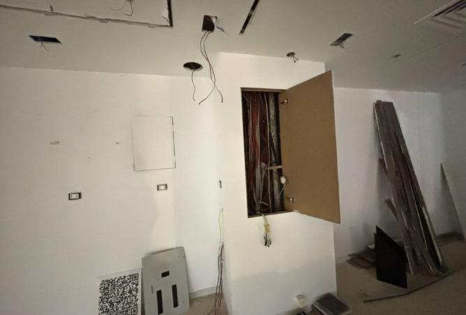 8295796 - Property Image 2