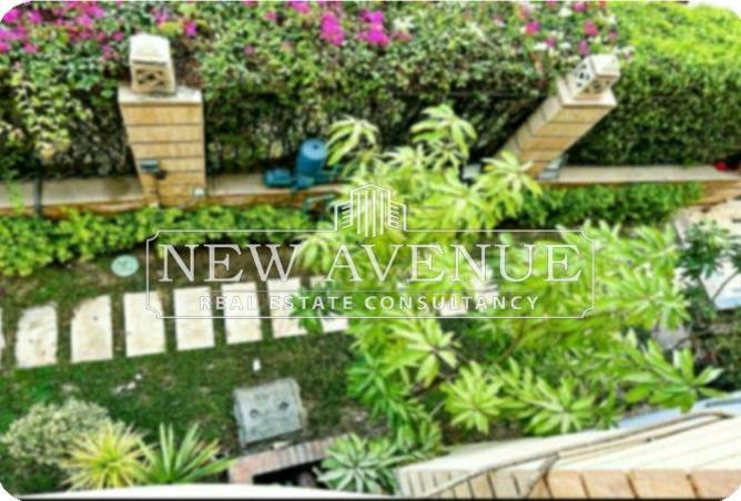 7996160 - صورة العقار 3