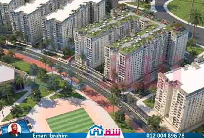 8202439 - صورة العقار 3