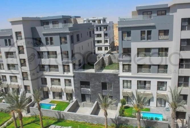 8369016 - Property Image 3