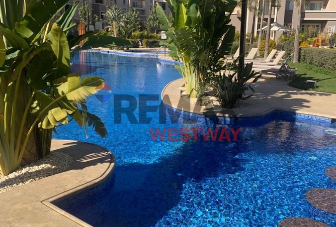 8393551 - Property Image 2