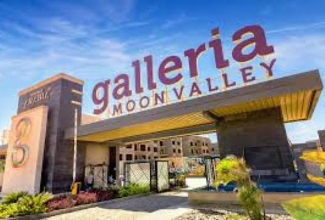 8382773 - Property Image 3