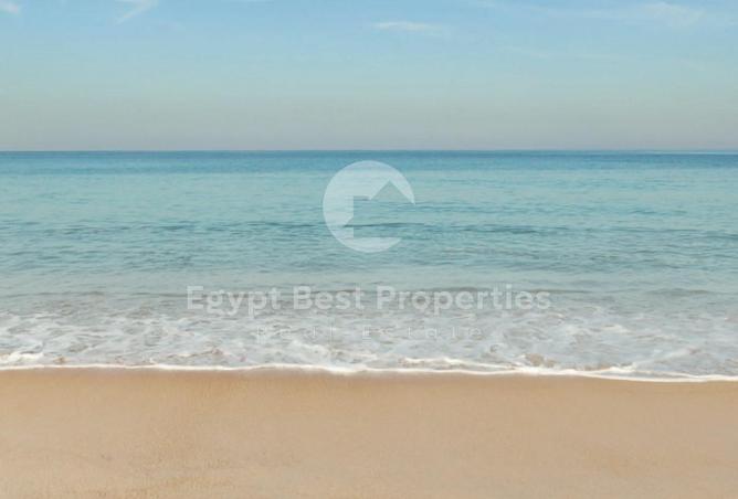7904826 - صورة العقار 3