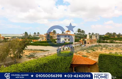 Villa - 4 Bedrooms - 3 Bathrooms for rent in King Mariout - Hay Al Amereyah - Alexandria