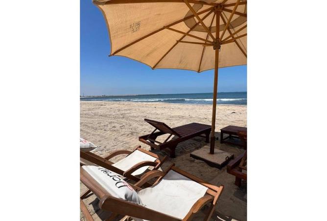 8435328 - صورة العقار 2