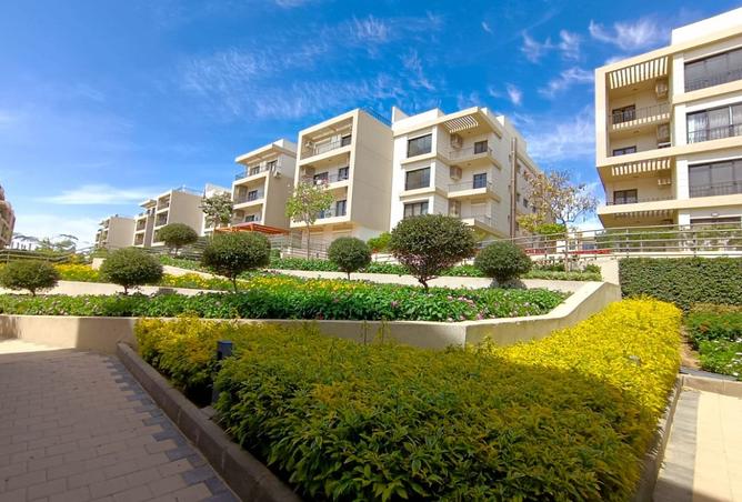 8379517 - Property Image 3