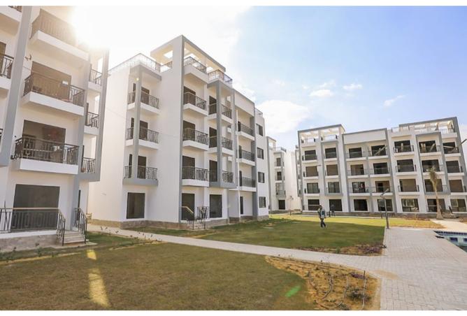 8097054 - Property Image 3