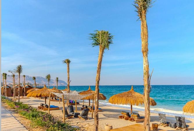 8426101 - Property Image 2