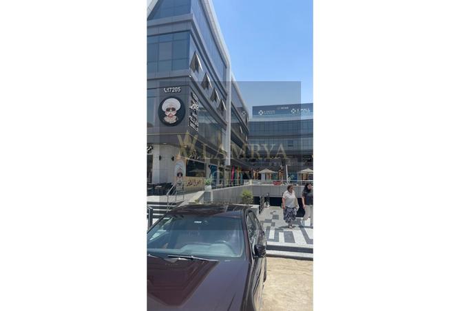 7995966 - صورة العقار 3