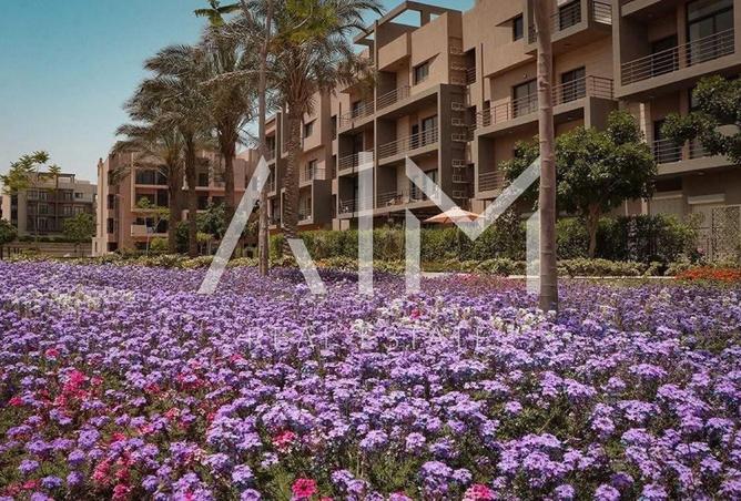 8447129 - صورة العقار 3