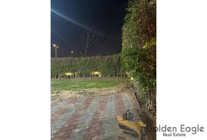 8060593 - Property Image 3